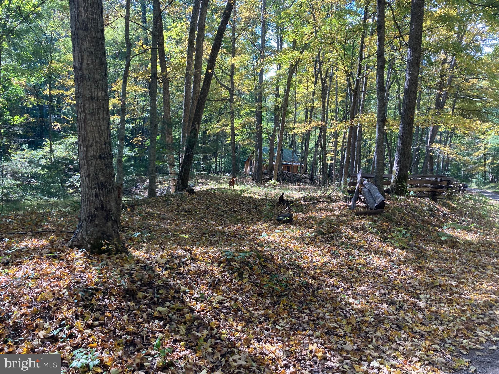 NONE-UNRESTRICTED - Residential