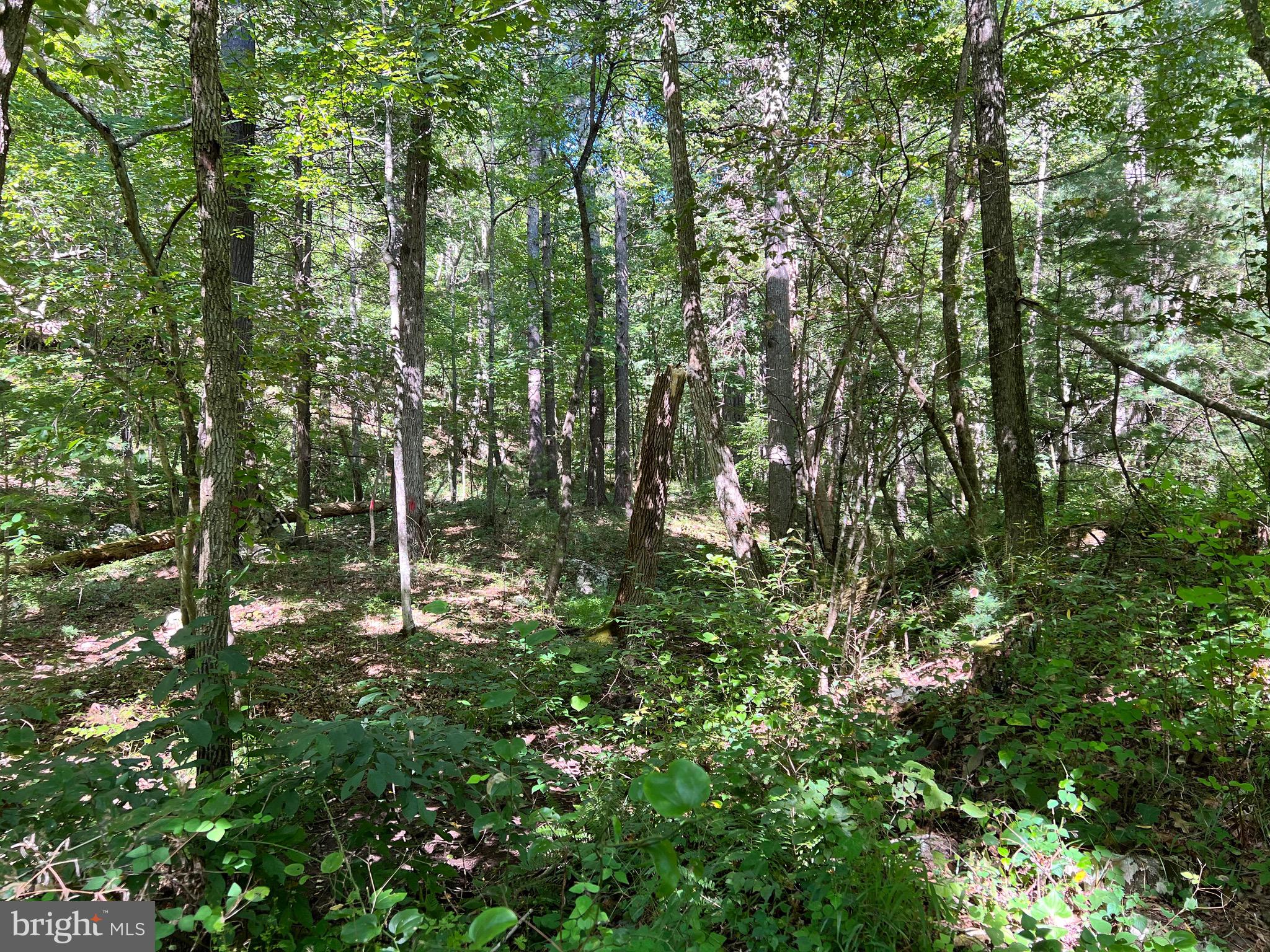 NONE-UNRESTRICTED - Residential