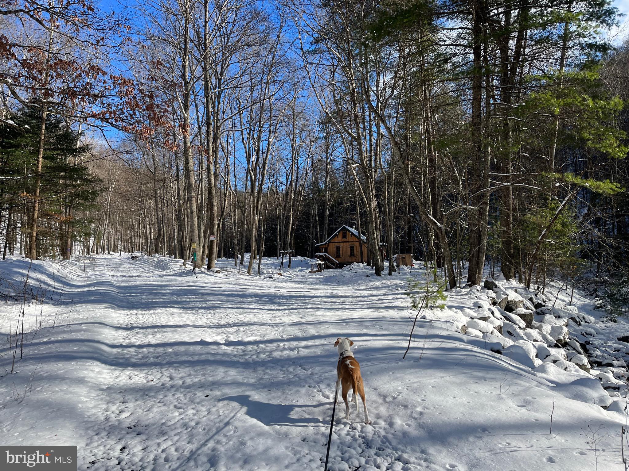 NONE-UNRESTRICTED - Residential