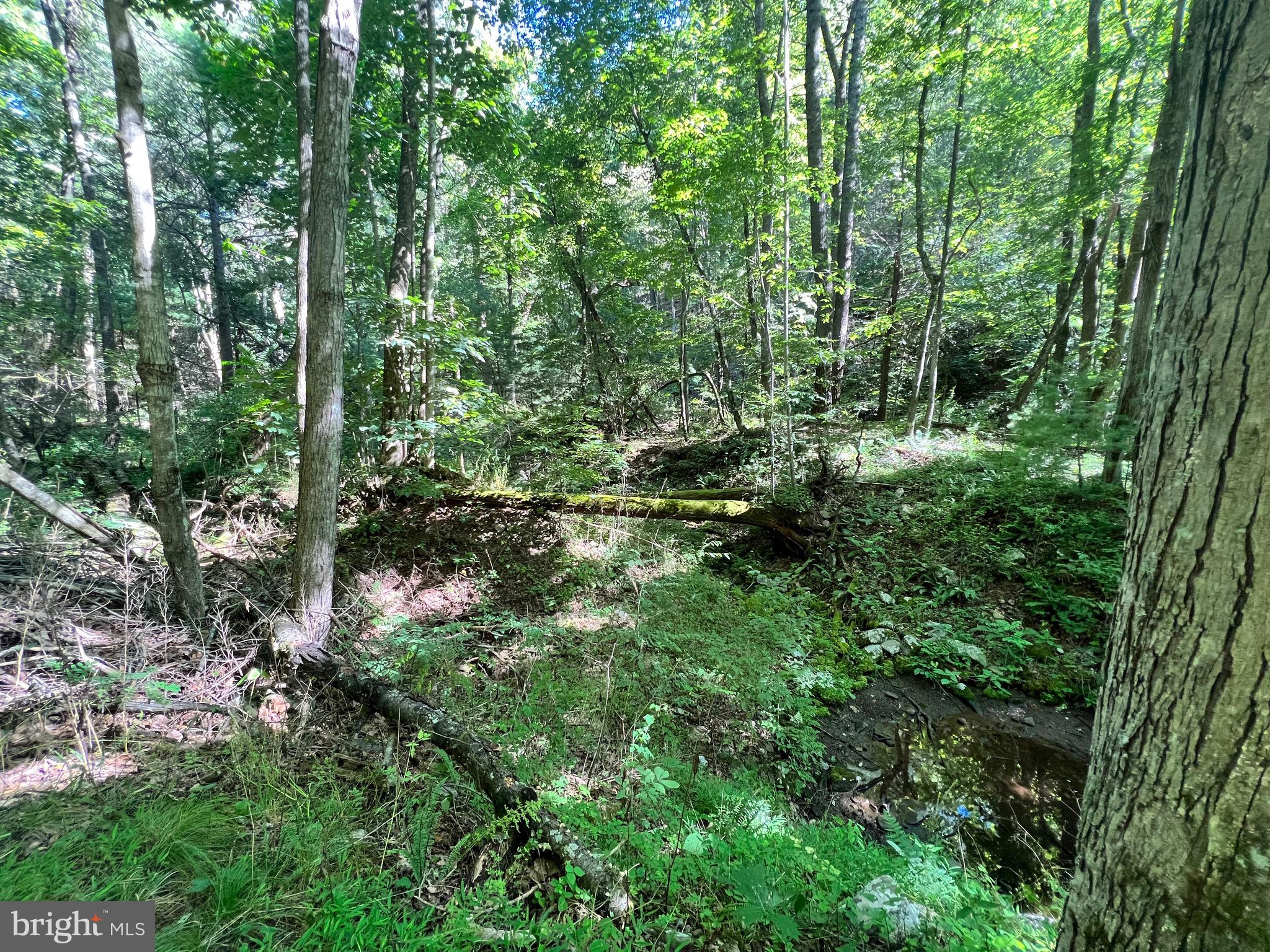 NONE-UNRESTRICTED - Residential