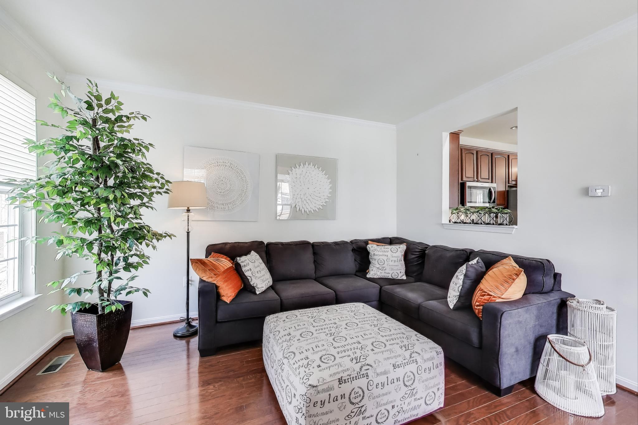 TOWN CENTER AT CAMP SPRINGS - Residential