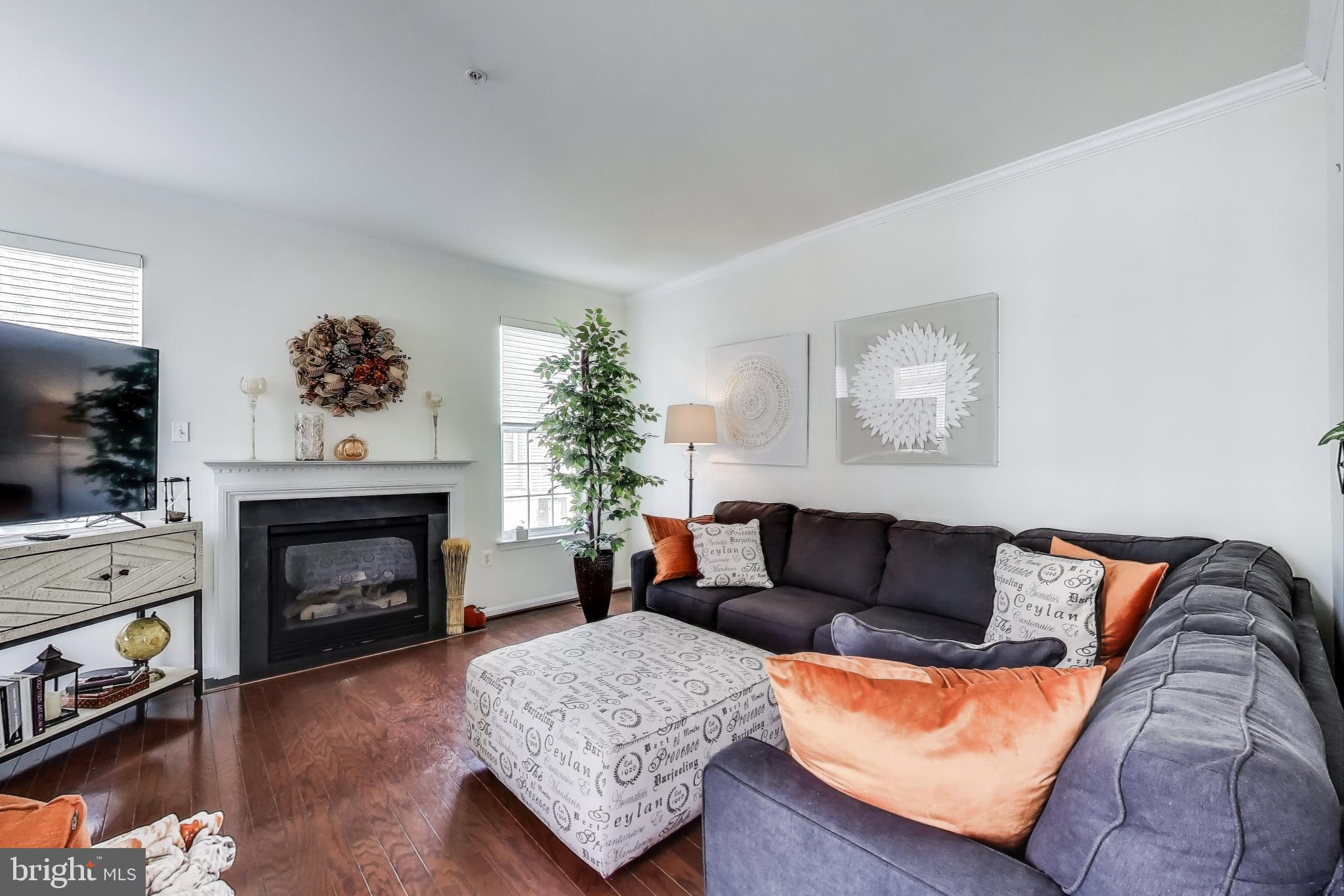 TOWN CENTER AT CAMP SPRINGS - Residential