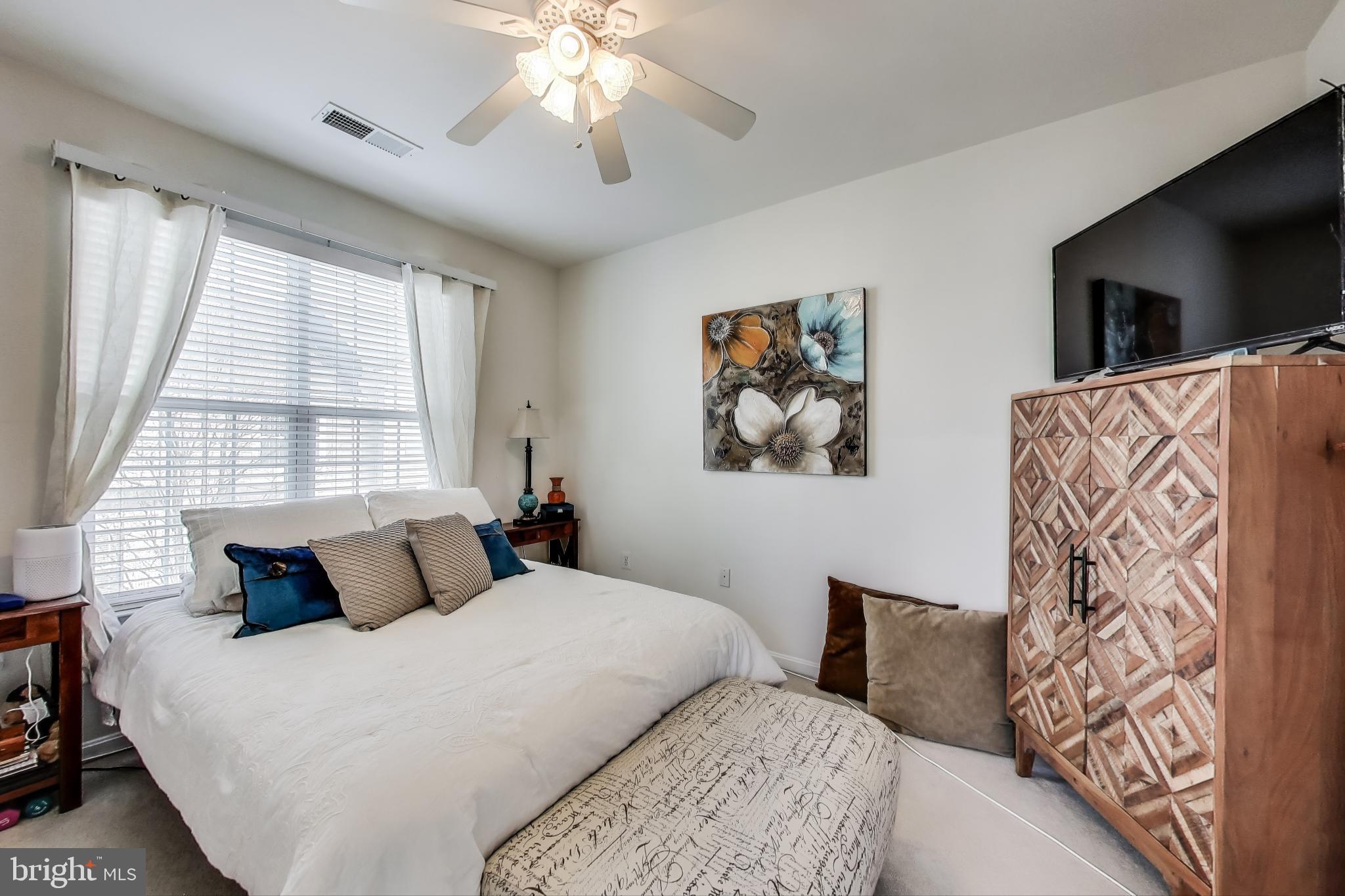 TOWN CENTER AT CAMP SPRINGS - Residential