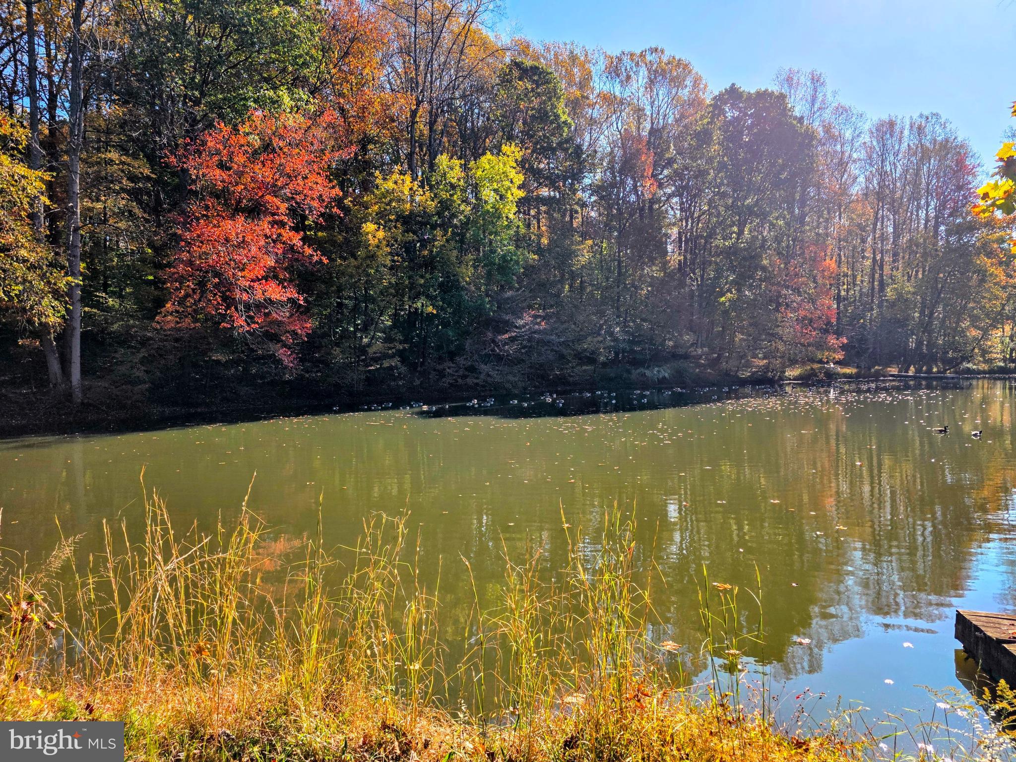 520 E CHESAPEAKE BEACH ROAD