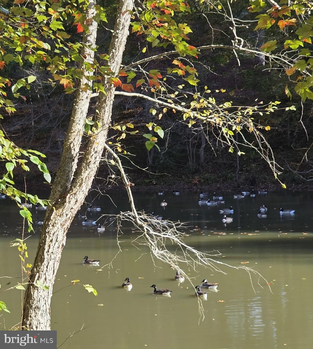 520 E CHESAPEAKE BEACH ROAD