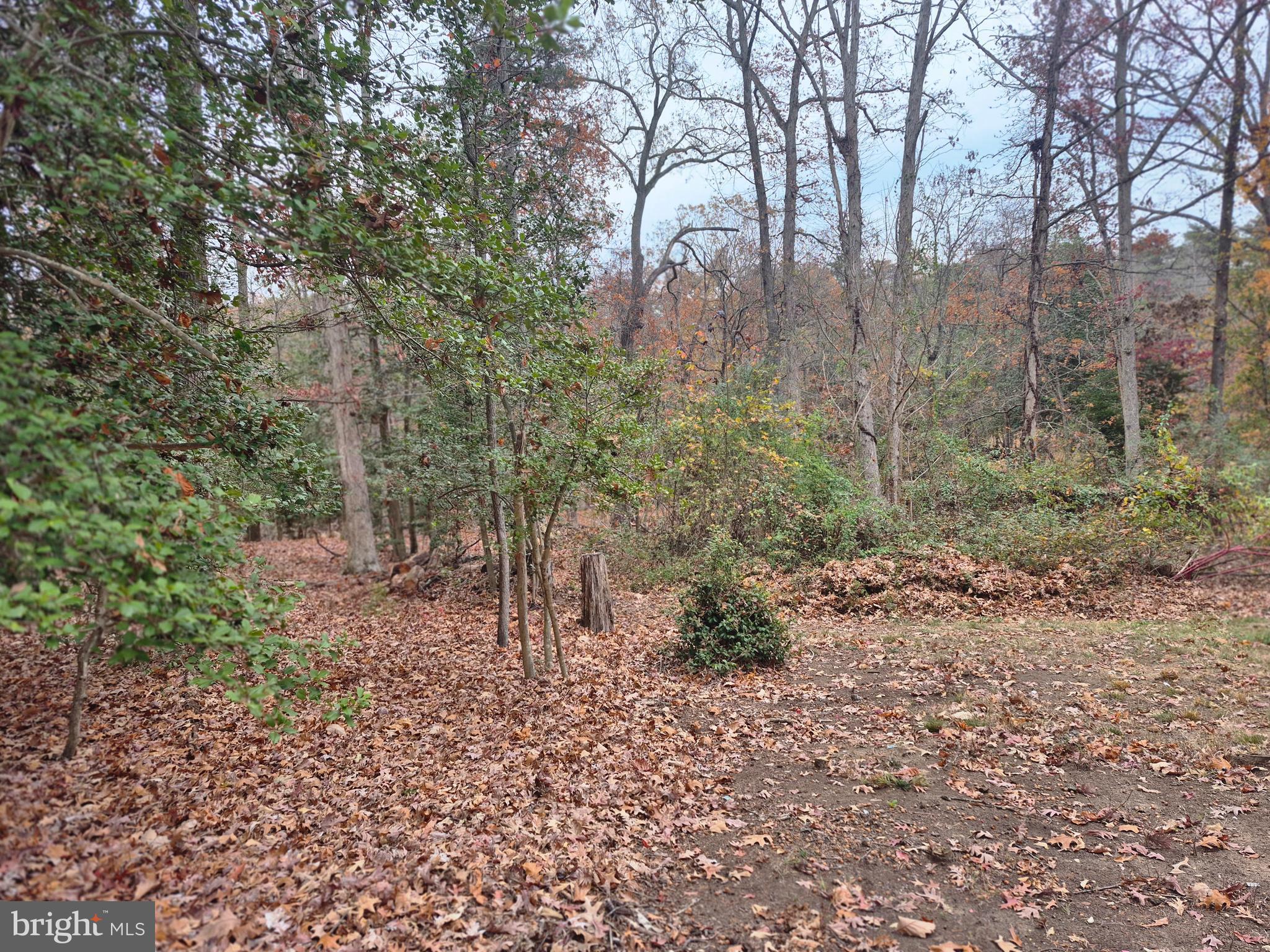 CLEVELAND PARK - Residential