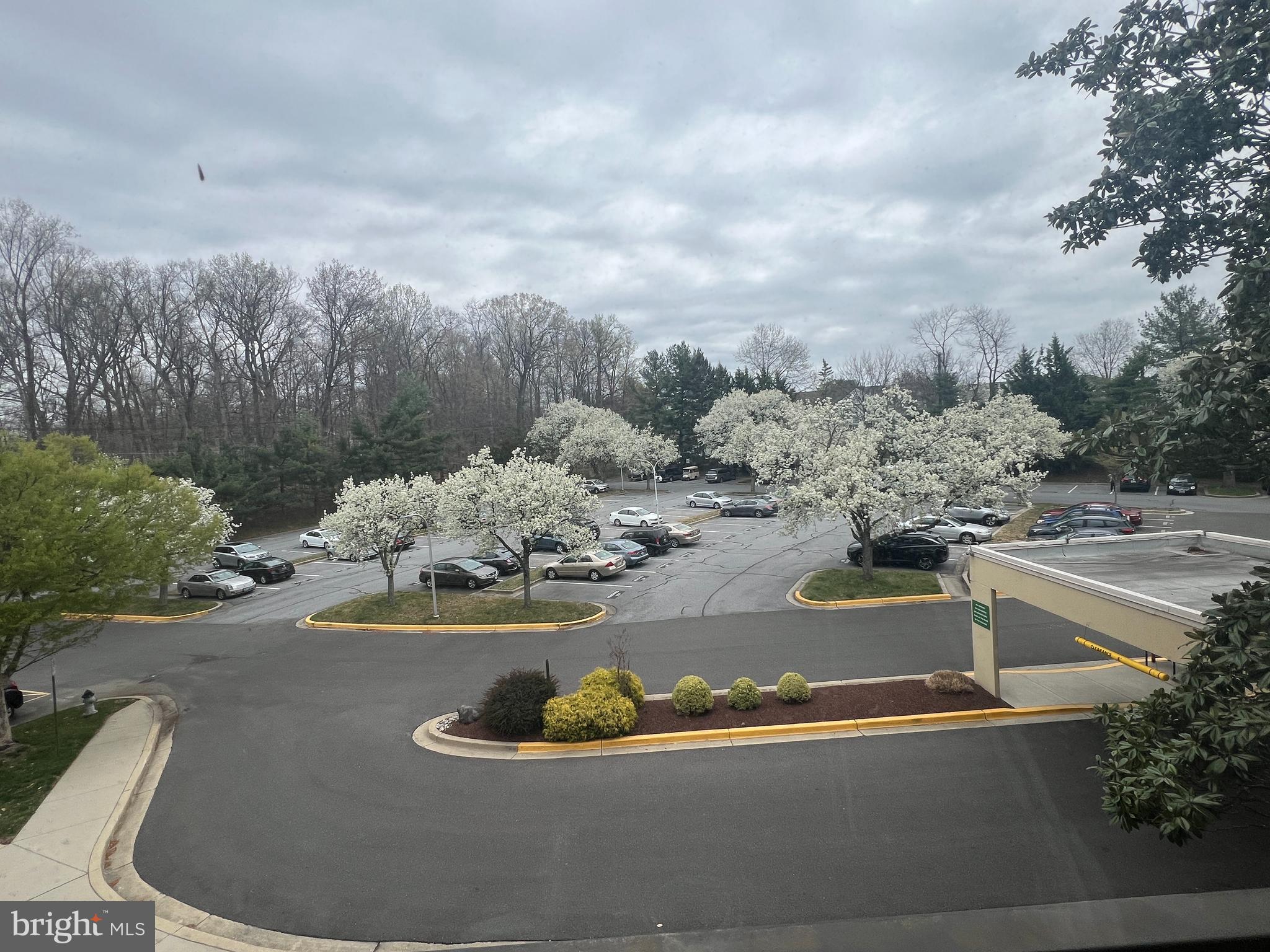 ROSSMOOR MUTUAL 22 CODM - Residential Lease