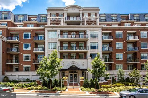 6900 FLEETWOOD ROAD 503 MCLEAN VA 22101