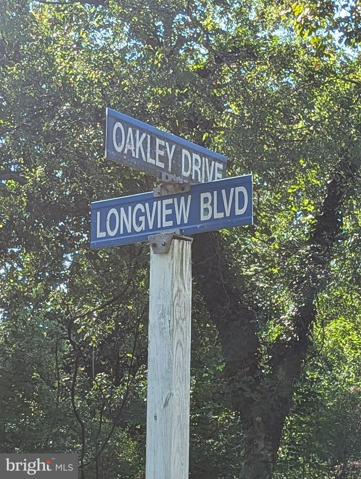 OAKLEY DRIVE