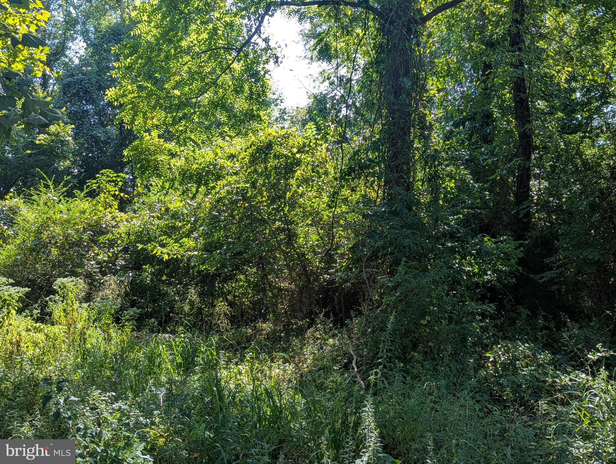 OAKLEY DRIVE
