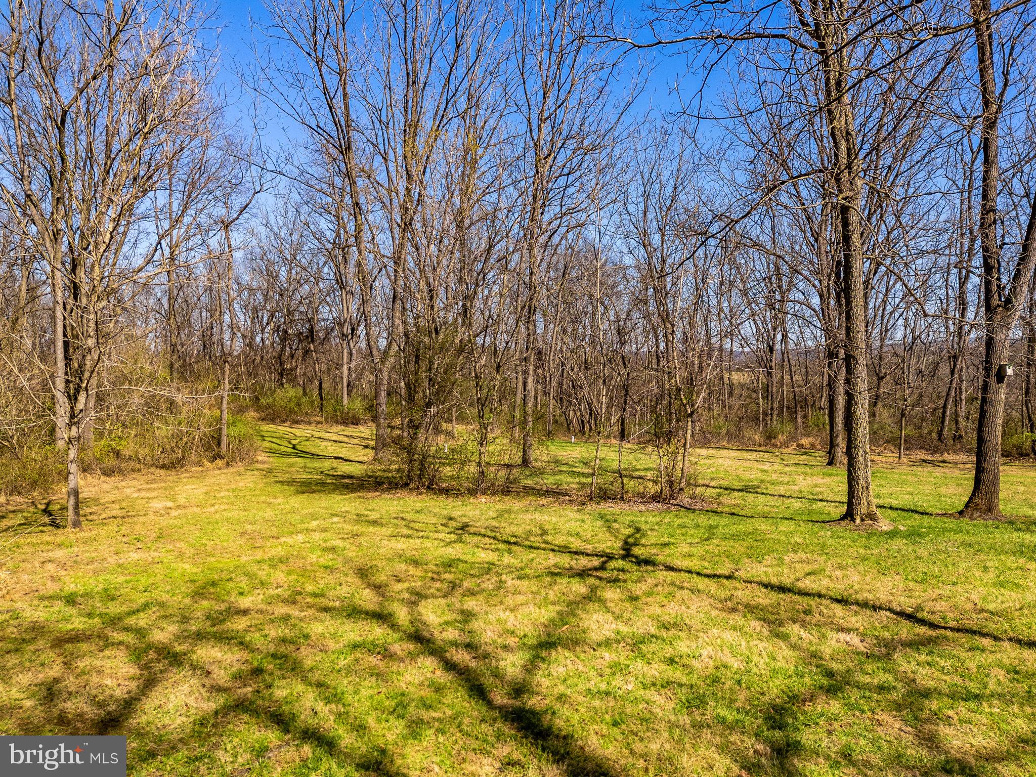 SHEPHERDSTOWN - Residential