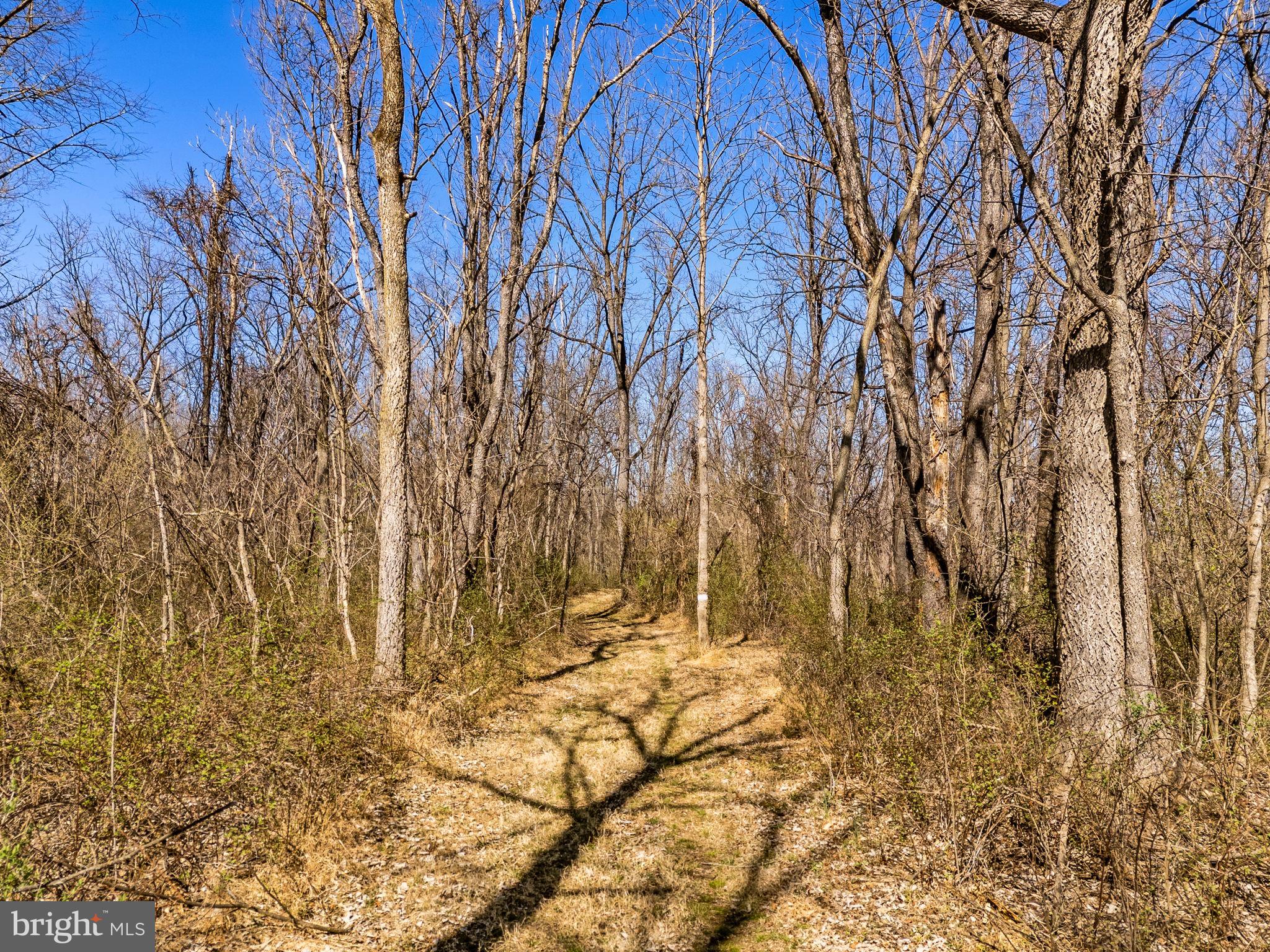 SHEPHERDSTOWN - Residential