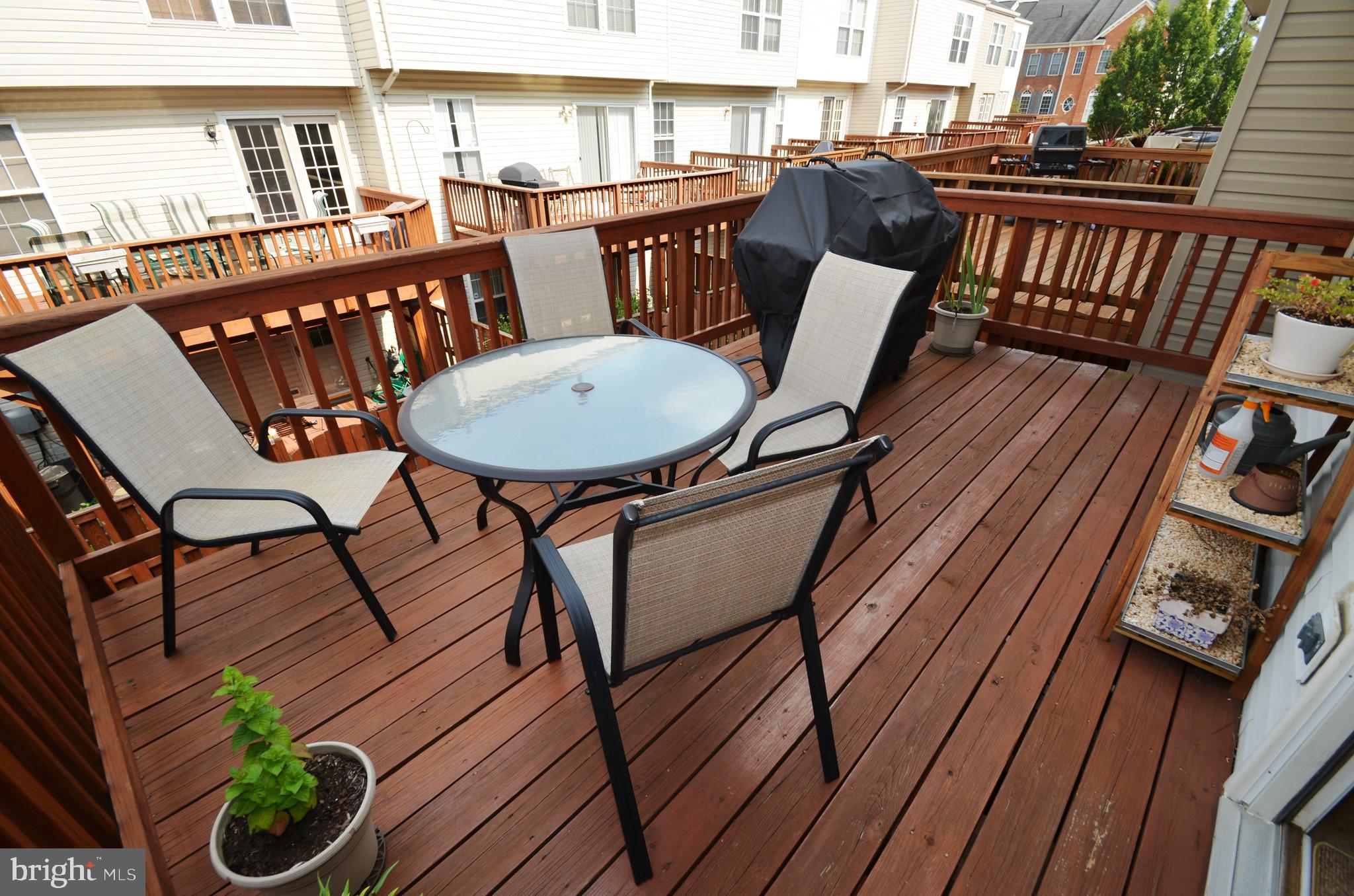 JAPONICA - Residential