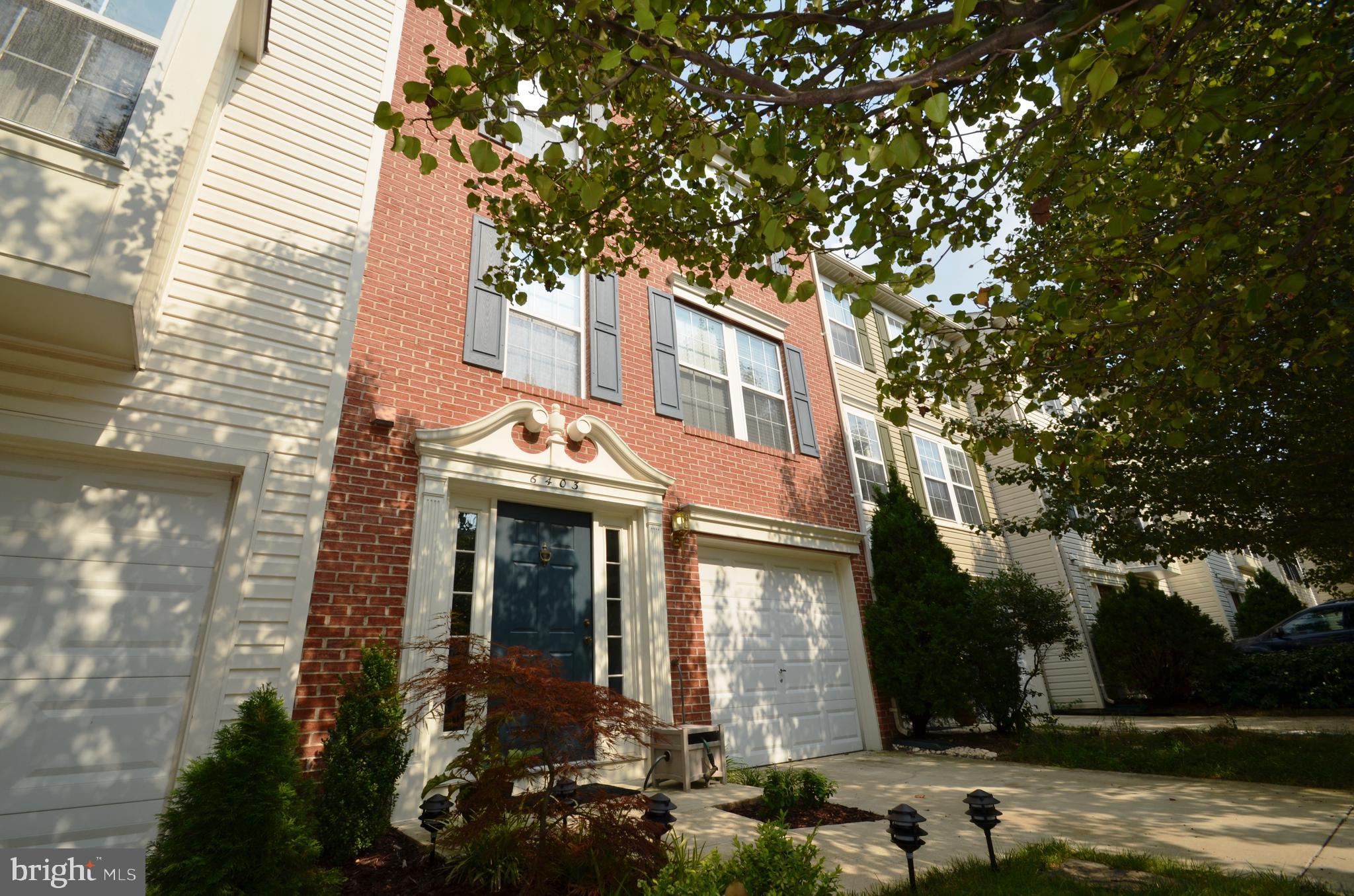 JAPONICA - Residential