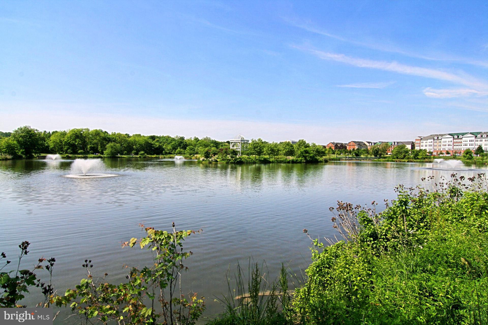 CAMERON STATION - Residential Lease