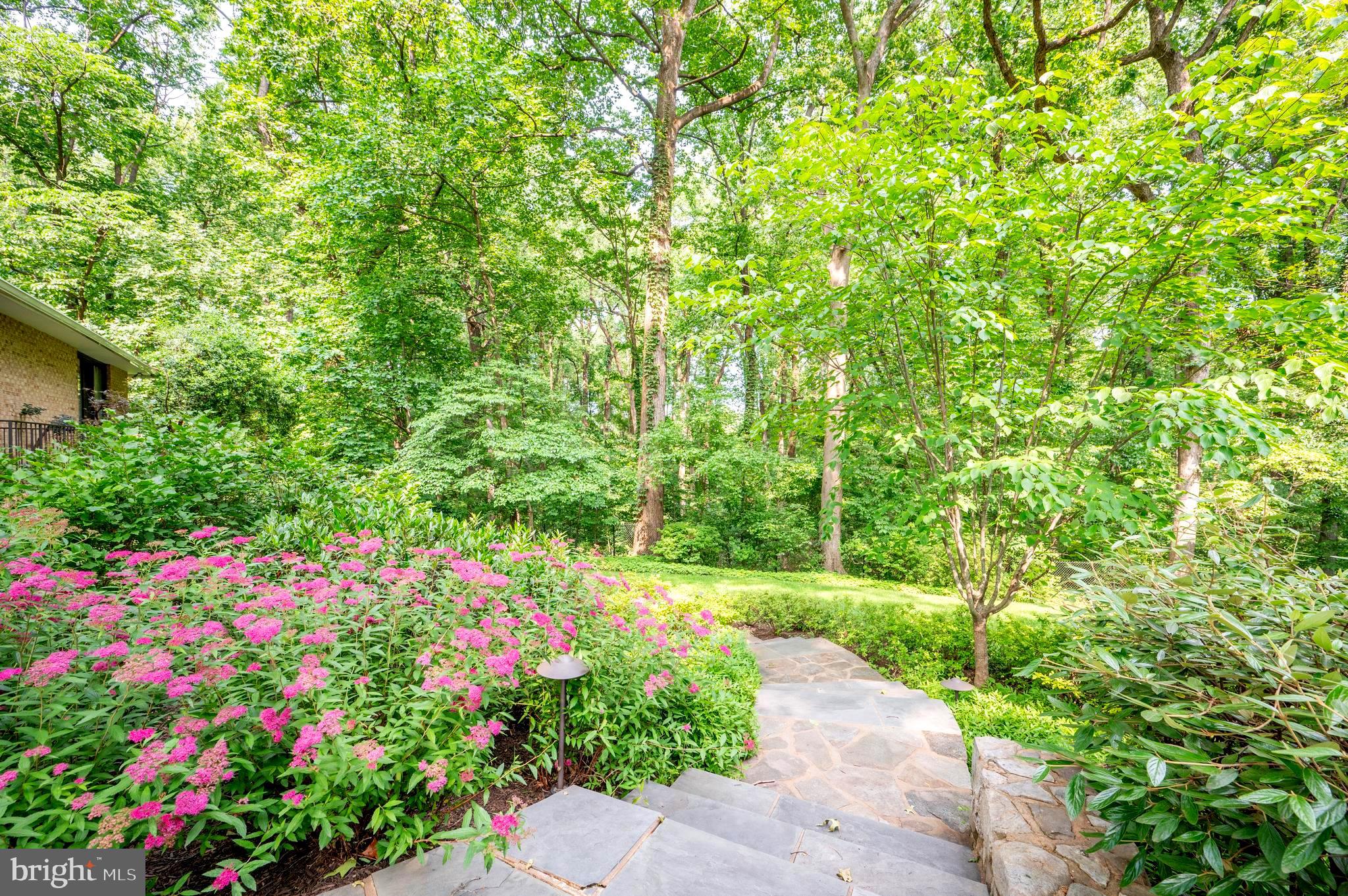 SALONA VILLAGE - Residential