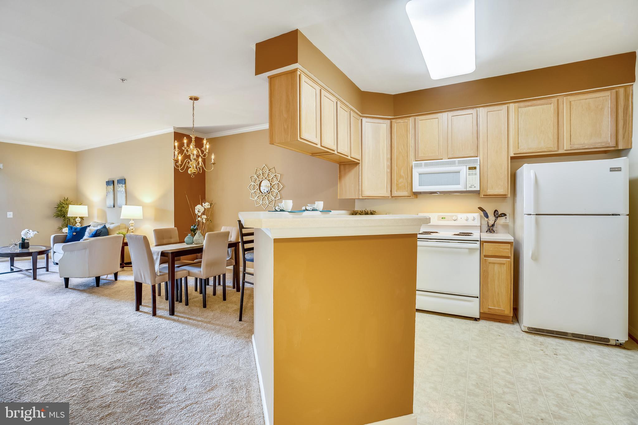 VILLAGE AT WAUGH CHAPEL - Residential