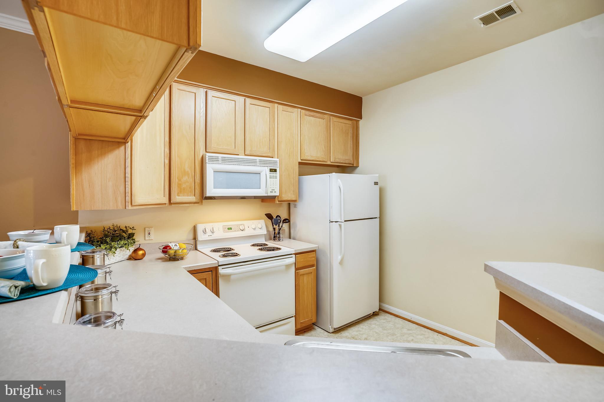 VILLAGE AT WAUGH CHAPEL - Residential