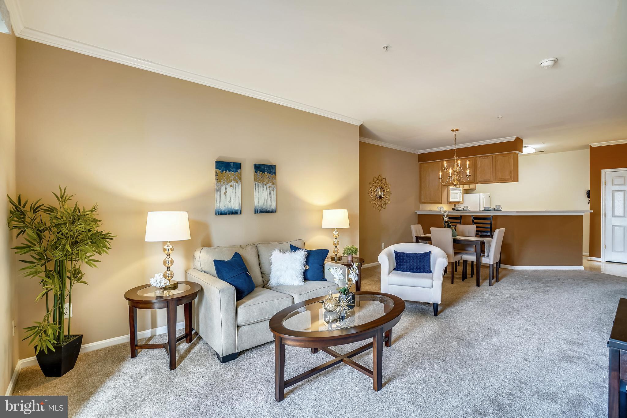 VILLAGE AT WAUGH CHAPEL - Residential