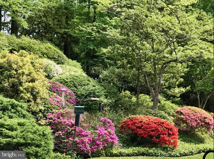 BANNOCKBURN ESTATES - Residential