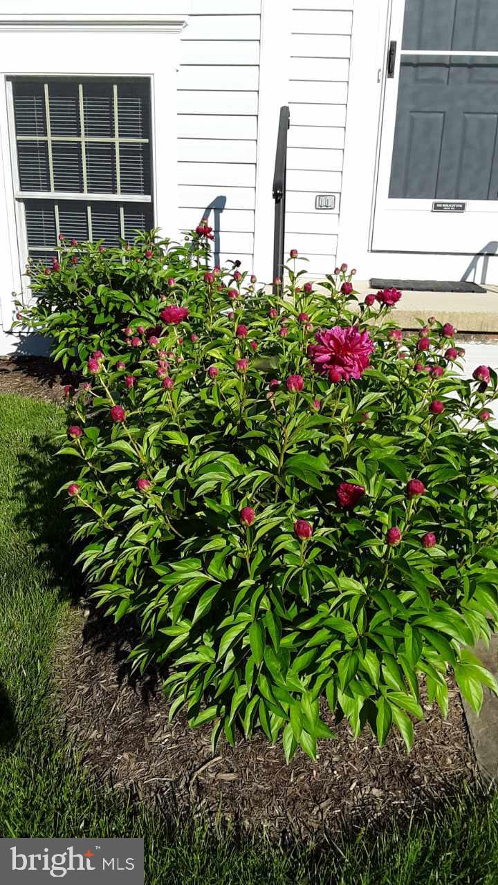 WEXFORD - Residential