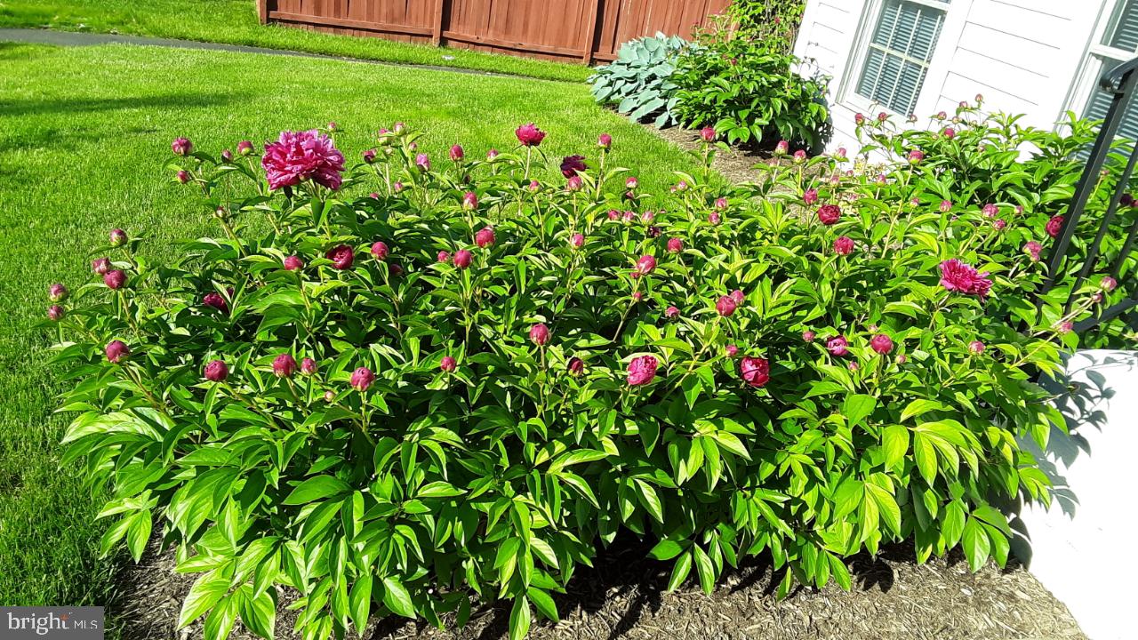 WEXFORD - Residential