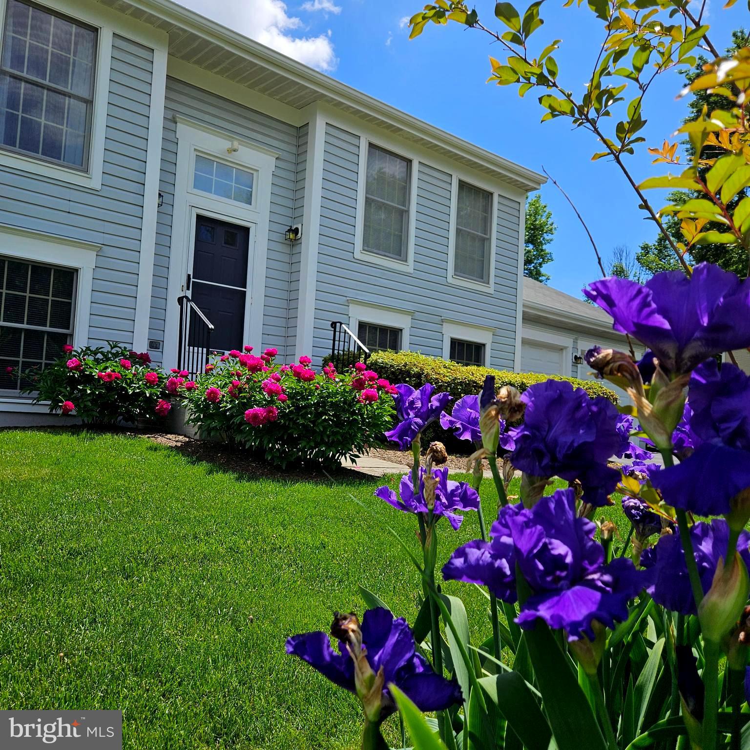 WEXFORD - Residential