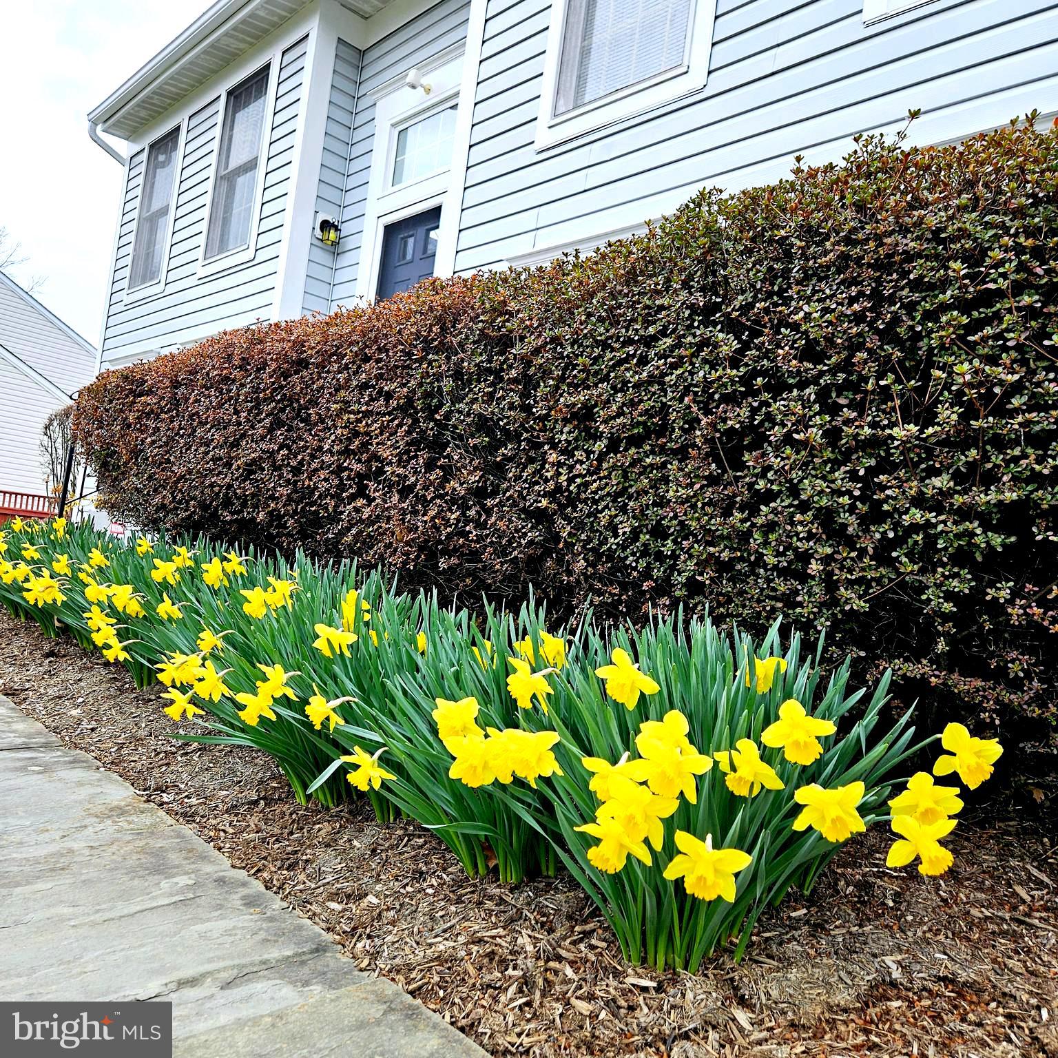WEXFORD - Residential
