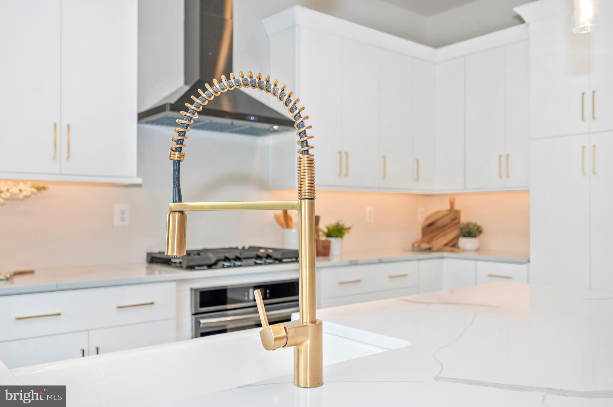 ASPEN LAKE LINGANORE - Residential