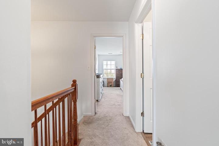 IDLEWILD - Residential Lease