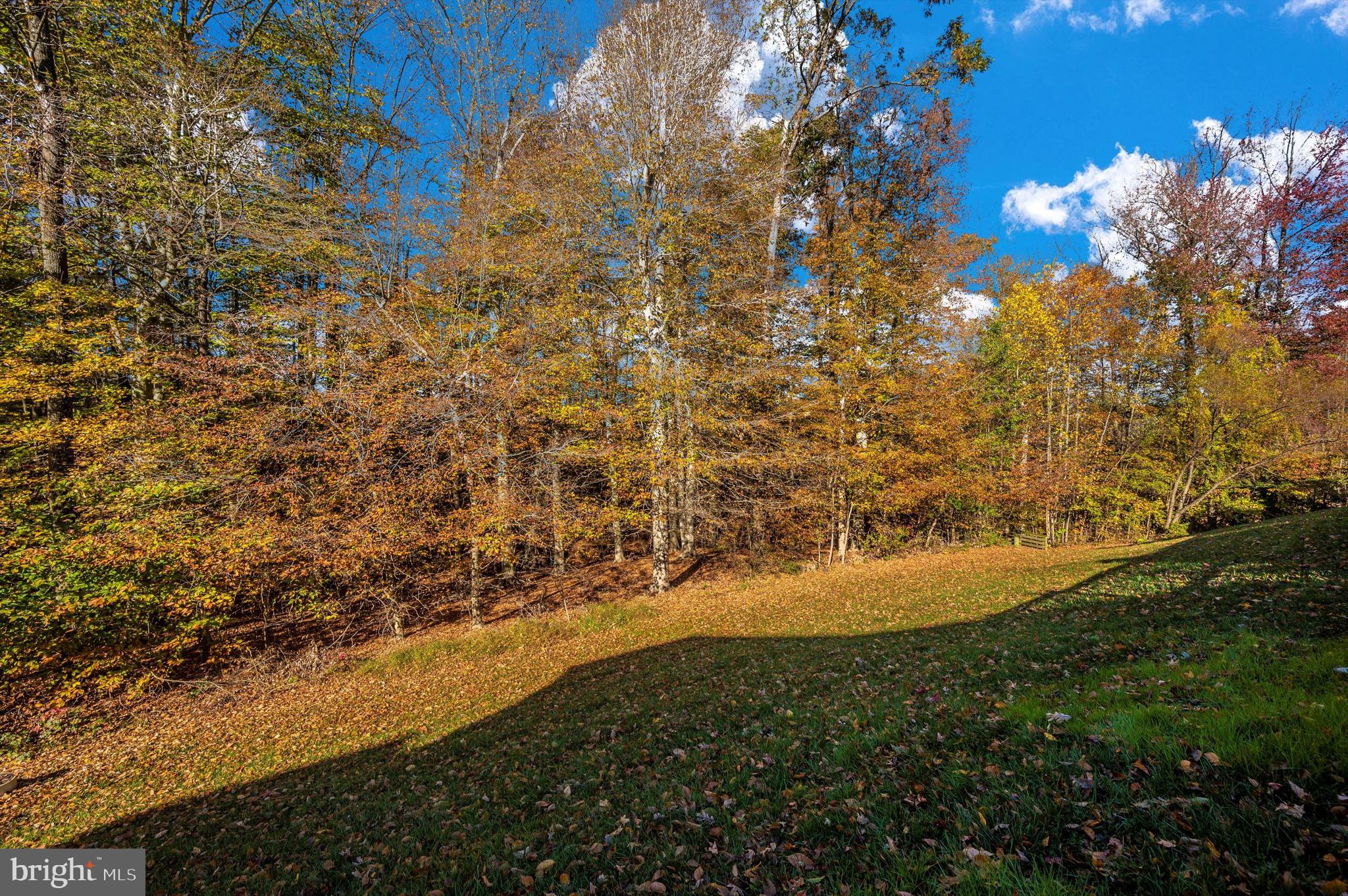 CHAPEL GROVE - Residential