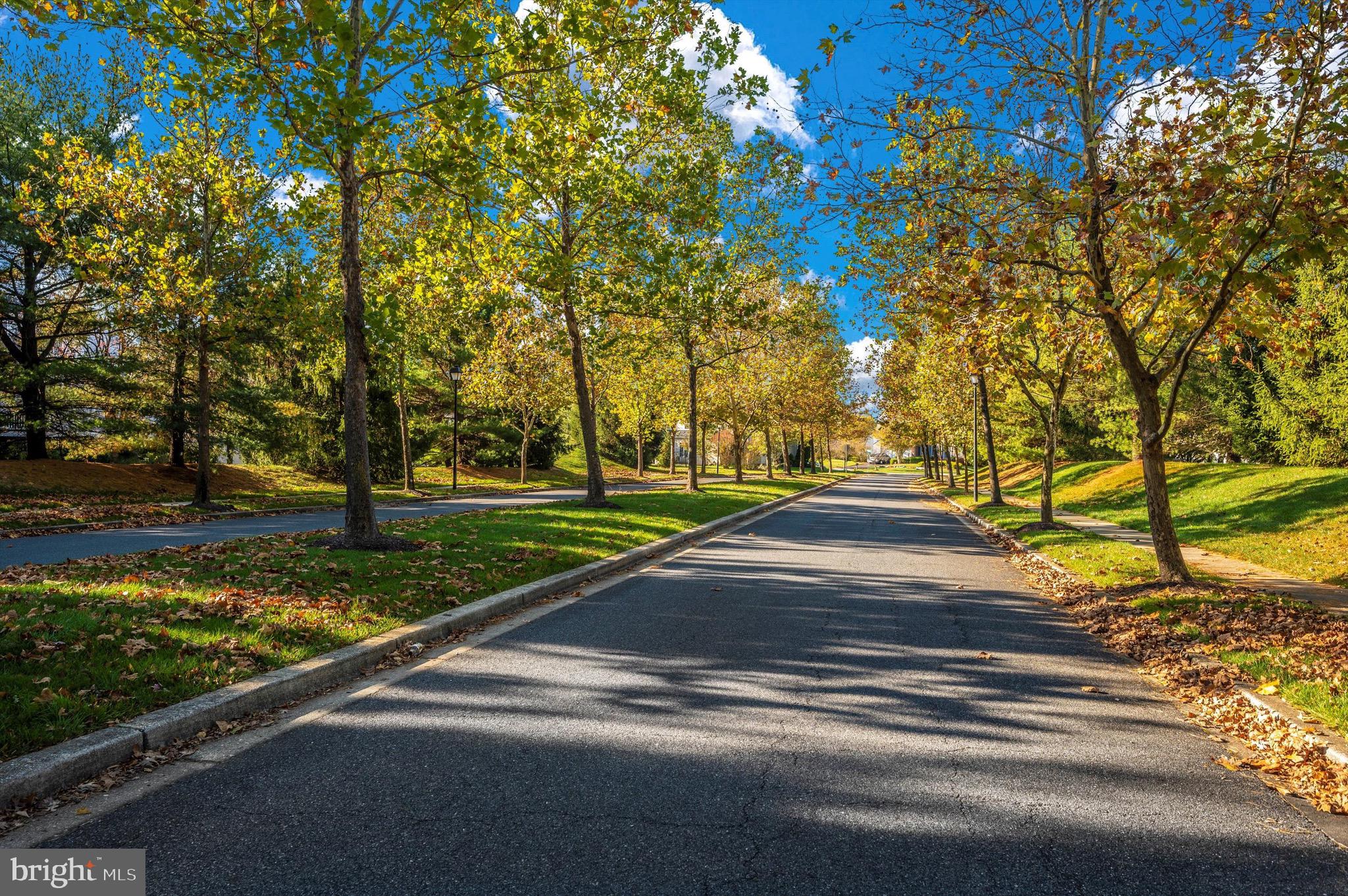 CHAPEL GROVE - Residential
