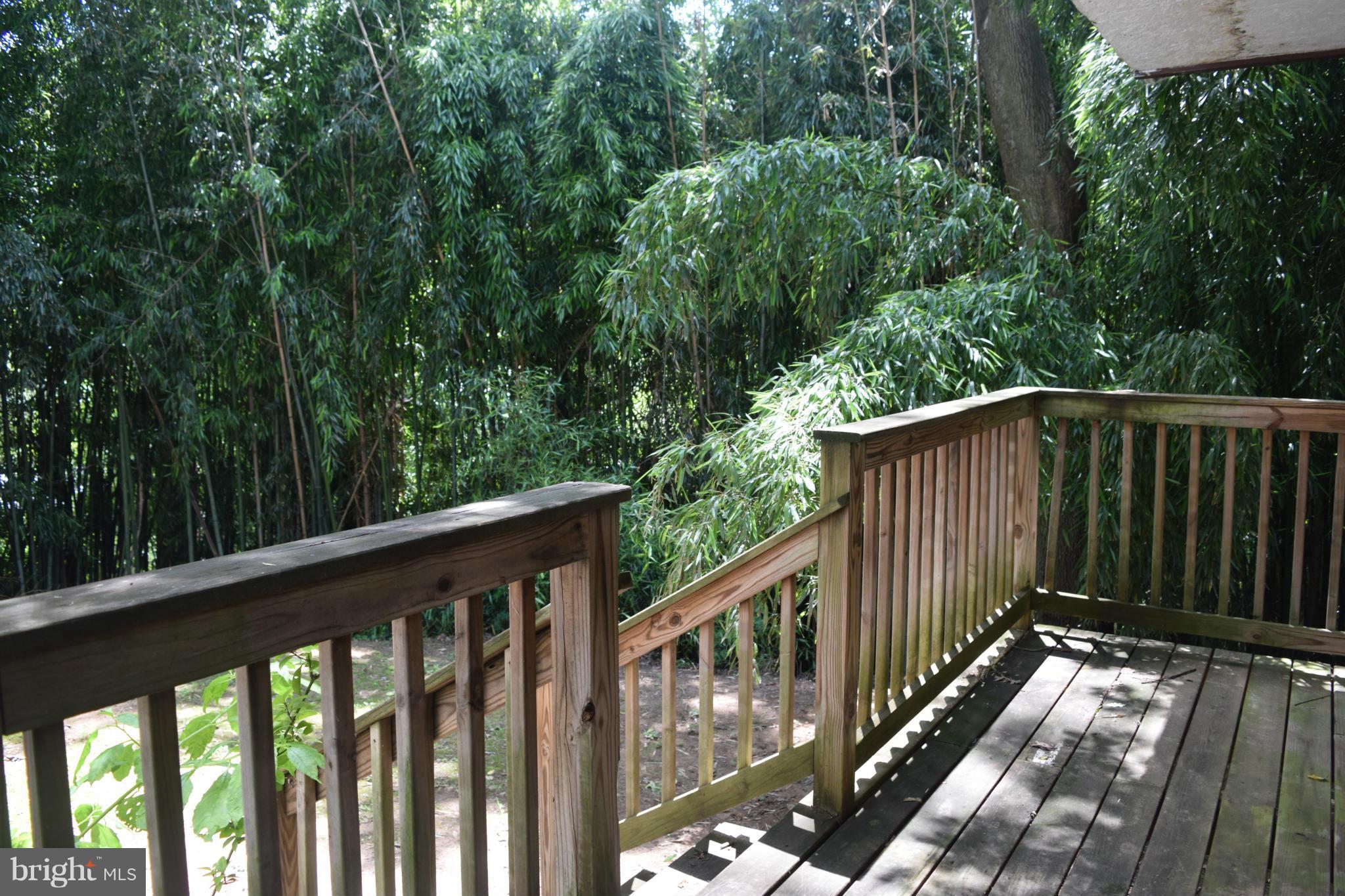 ROCK CREEK PALISADES - Residential Lease