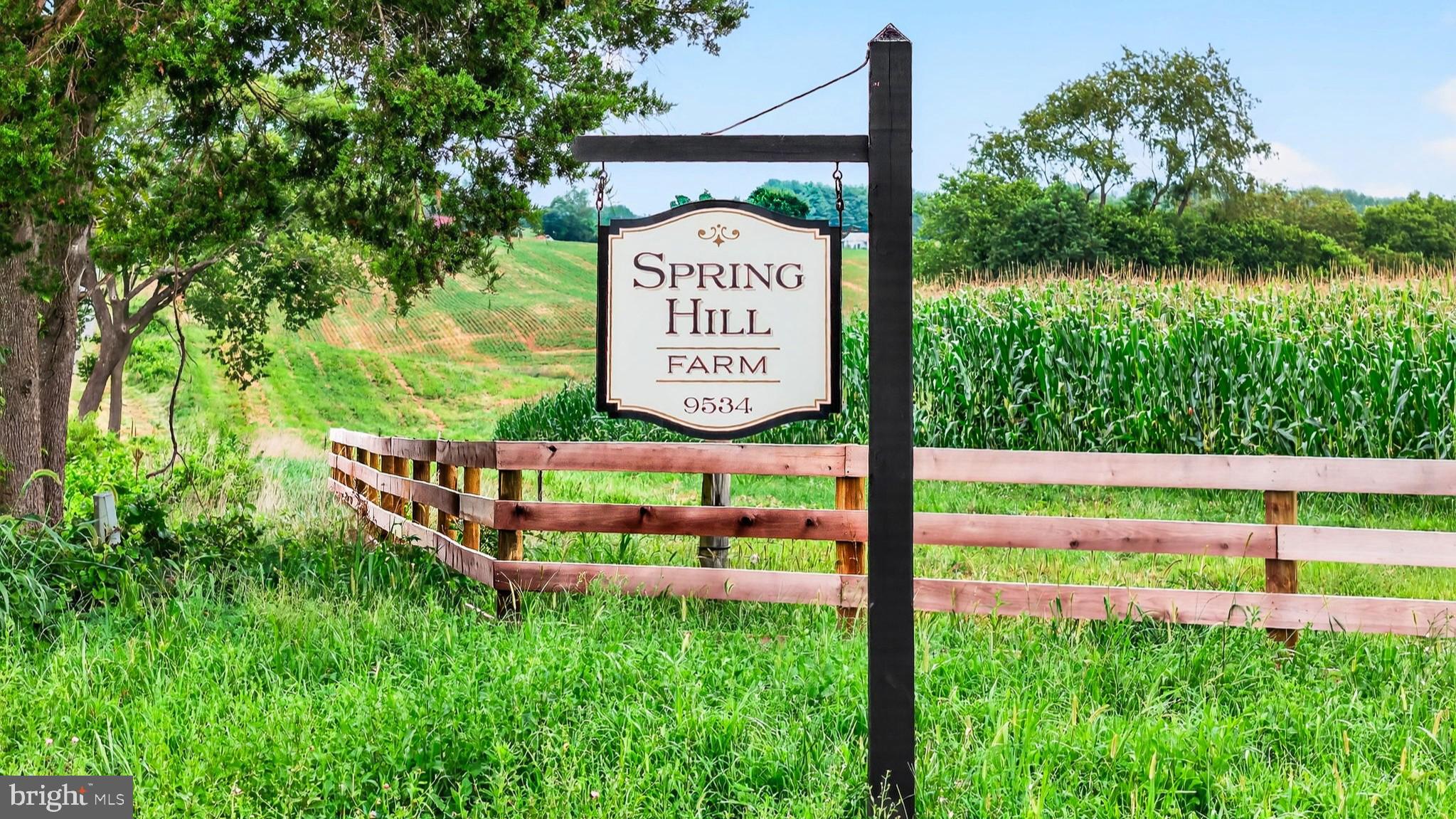 9534 SPRING HILL