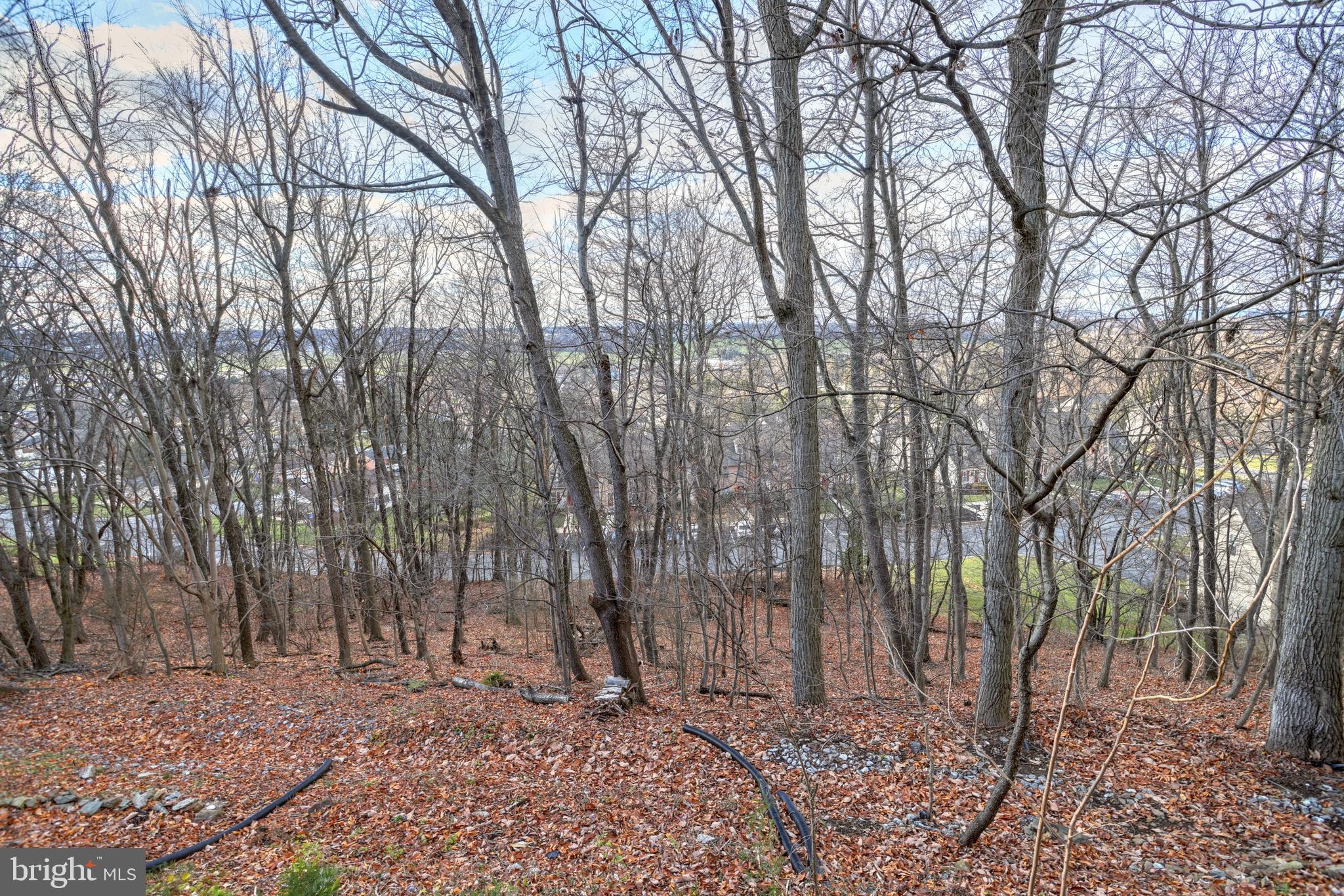 WOODLAND HILLS - Residential