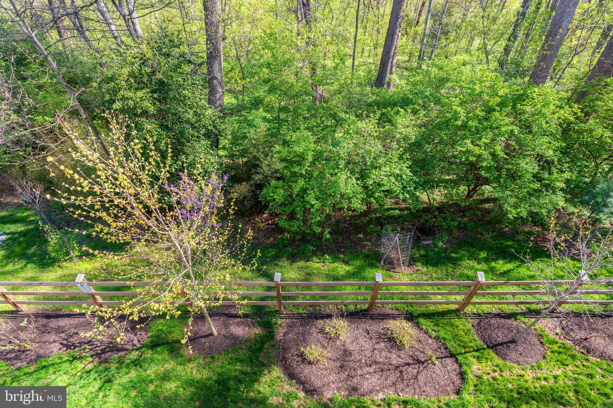 NORTH CHEVY CHASE - Residential Lease