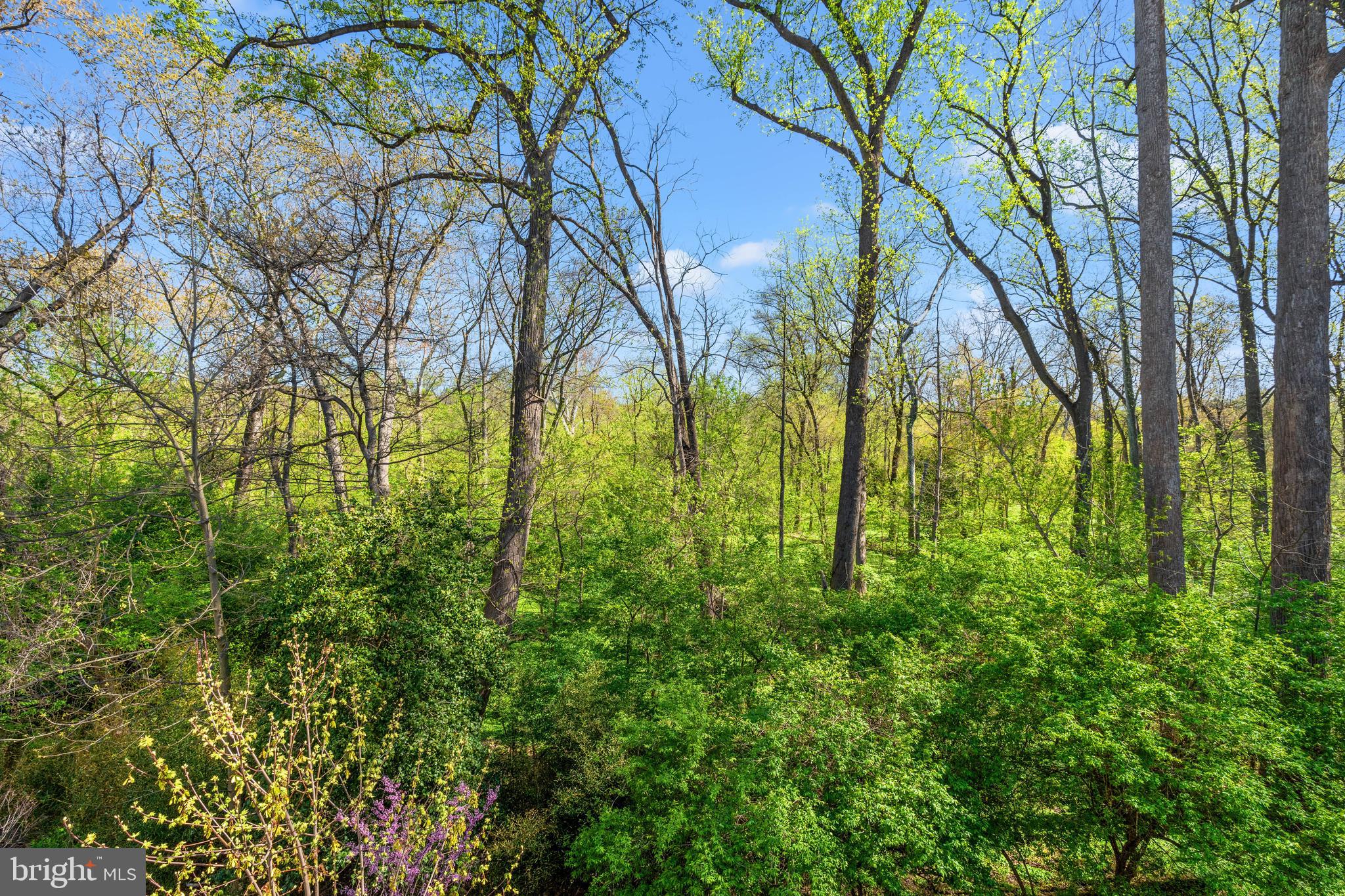 NORTH CHEVY CHASE - Residential Lease