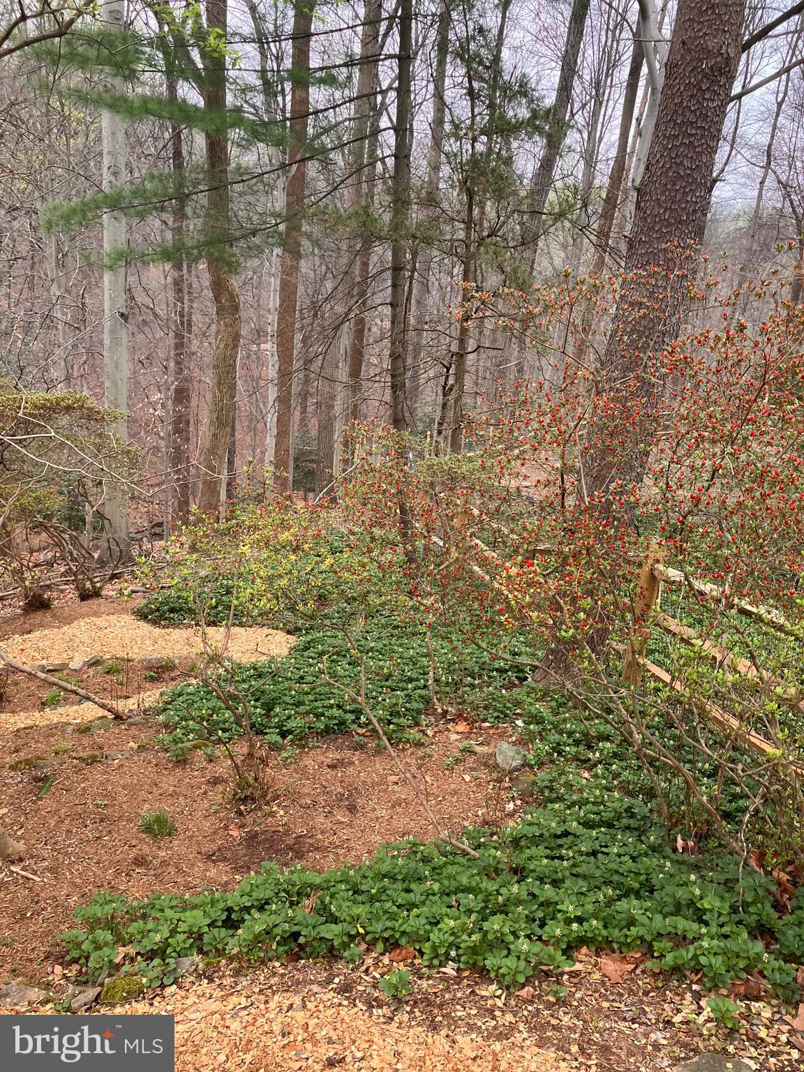 NORTHWEST BRANCH ESTATES - Residential