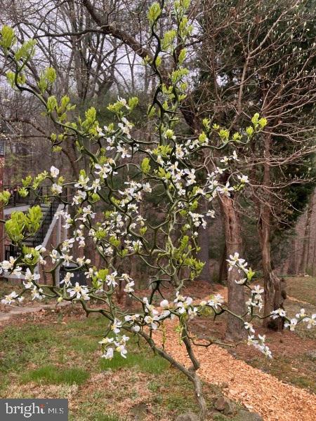 NORTHWEST BRANCH ESTATES - Residential