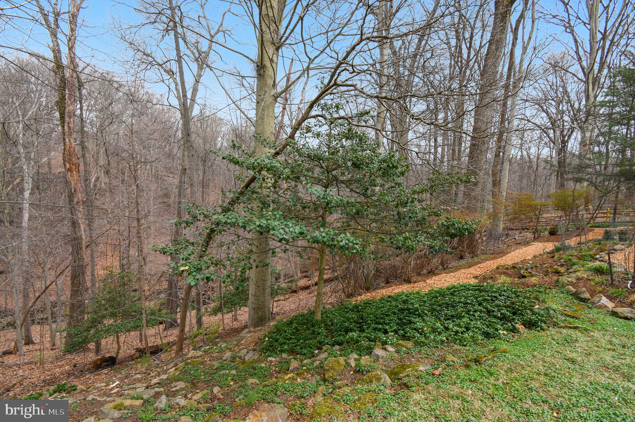 NORTHWEST BRANCH ESTATES - Residential