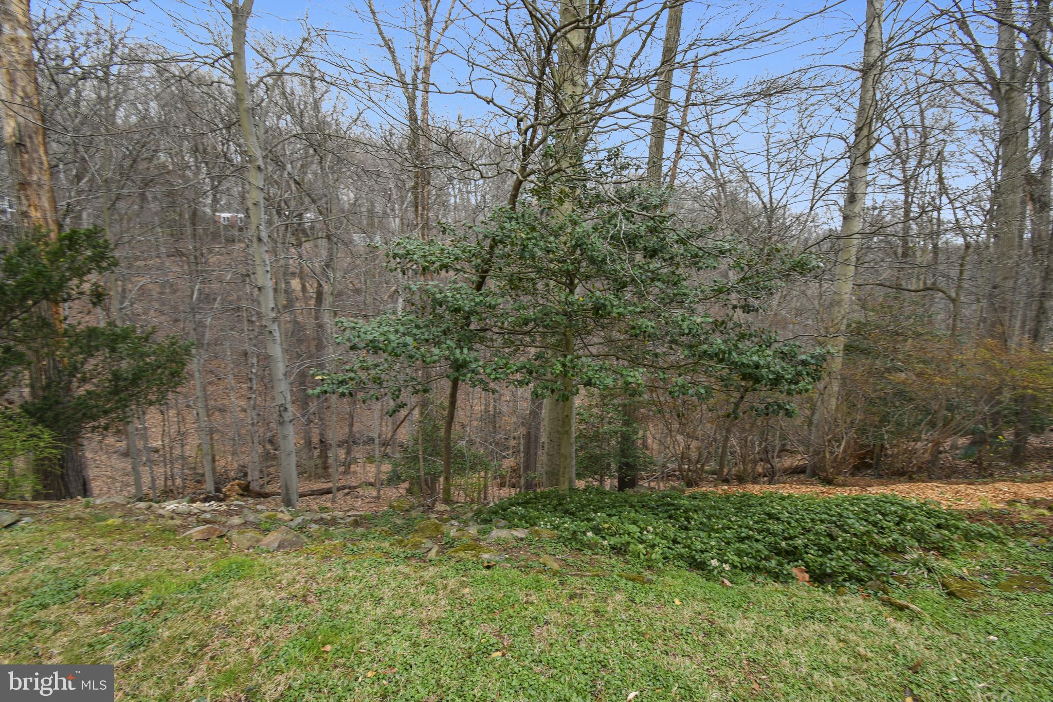 NORTHWEST BRANCH ESTATES - Residential