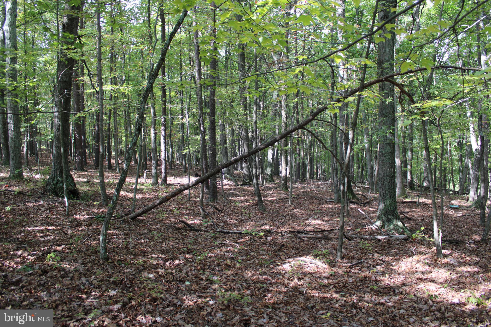 BLUFFS ON THE POTOMAC - Land