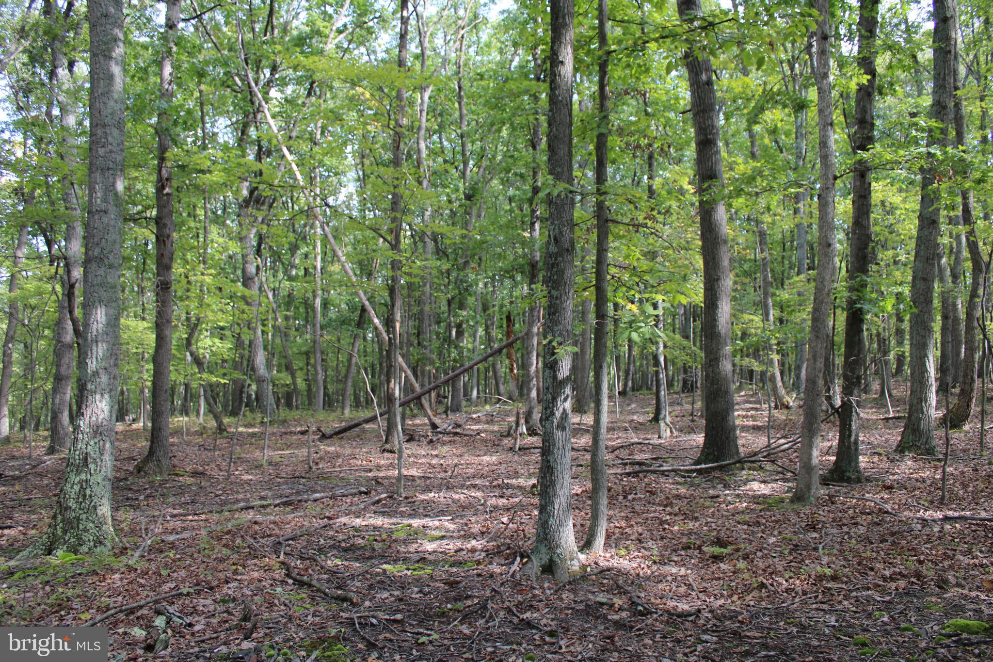 BLUFFS ON THE POTOMAC - Land
