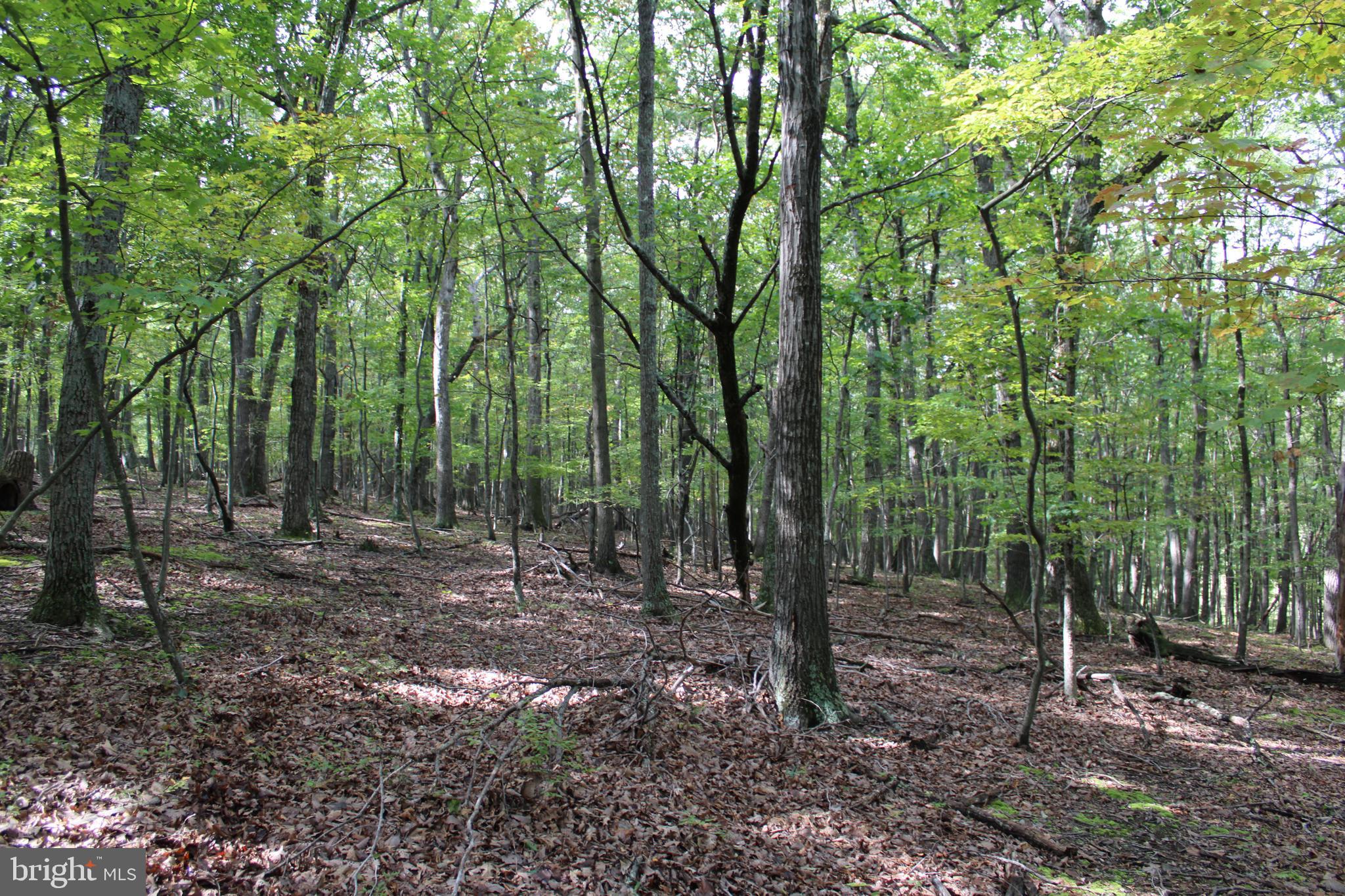 BLUFFS ON THE POTOMAC - Land