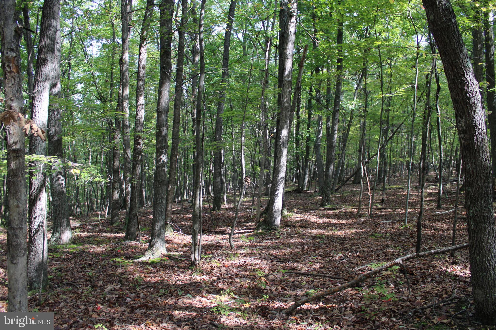 BLUFFS ON THE POTOMAC - Land