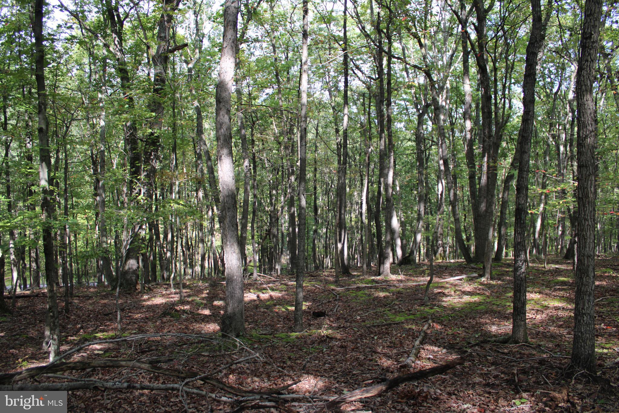 BLUFFS ON THE POTOMAC - Land