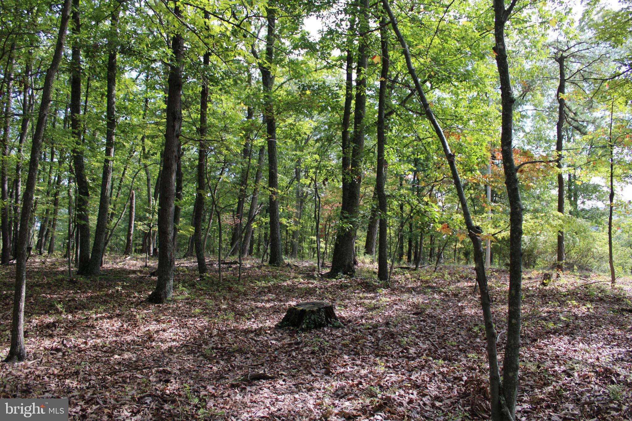 BLUFFS ON THE POTOMAC - Land