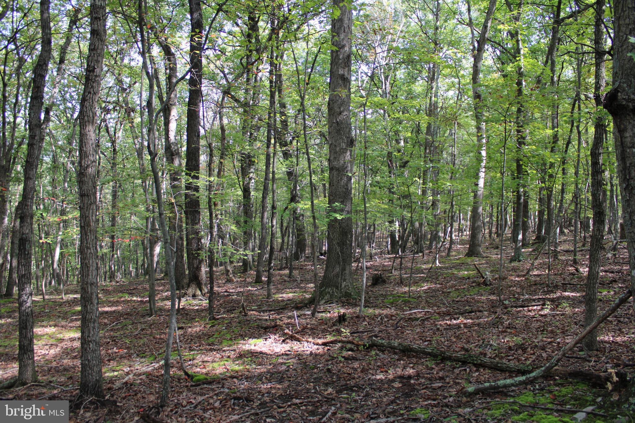 BLUFFS ON THE POTOMAC - Land