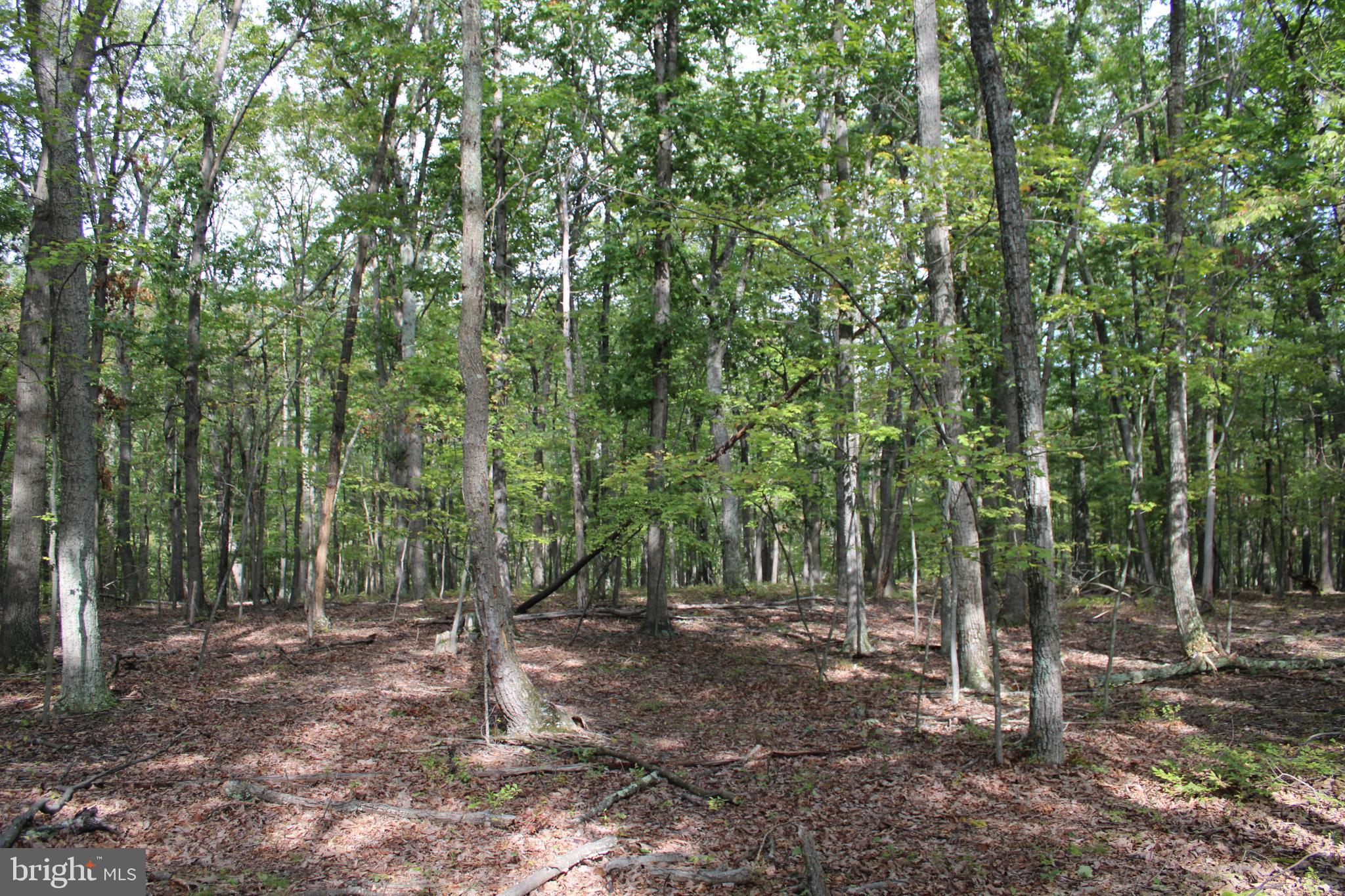 BLUFFS ON THE POTOMAC - Land