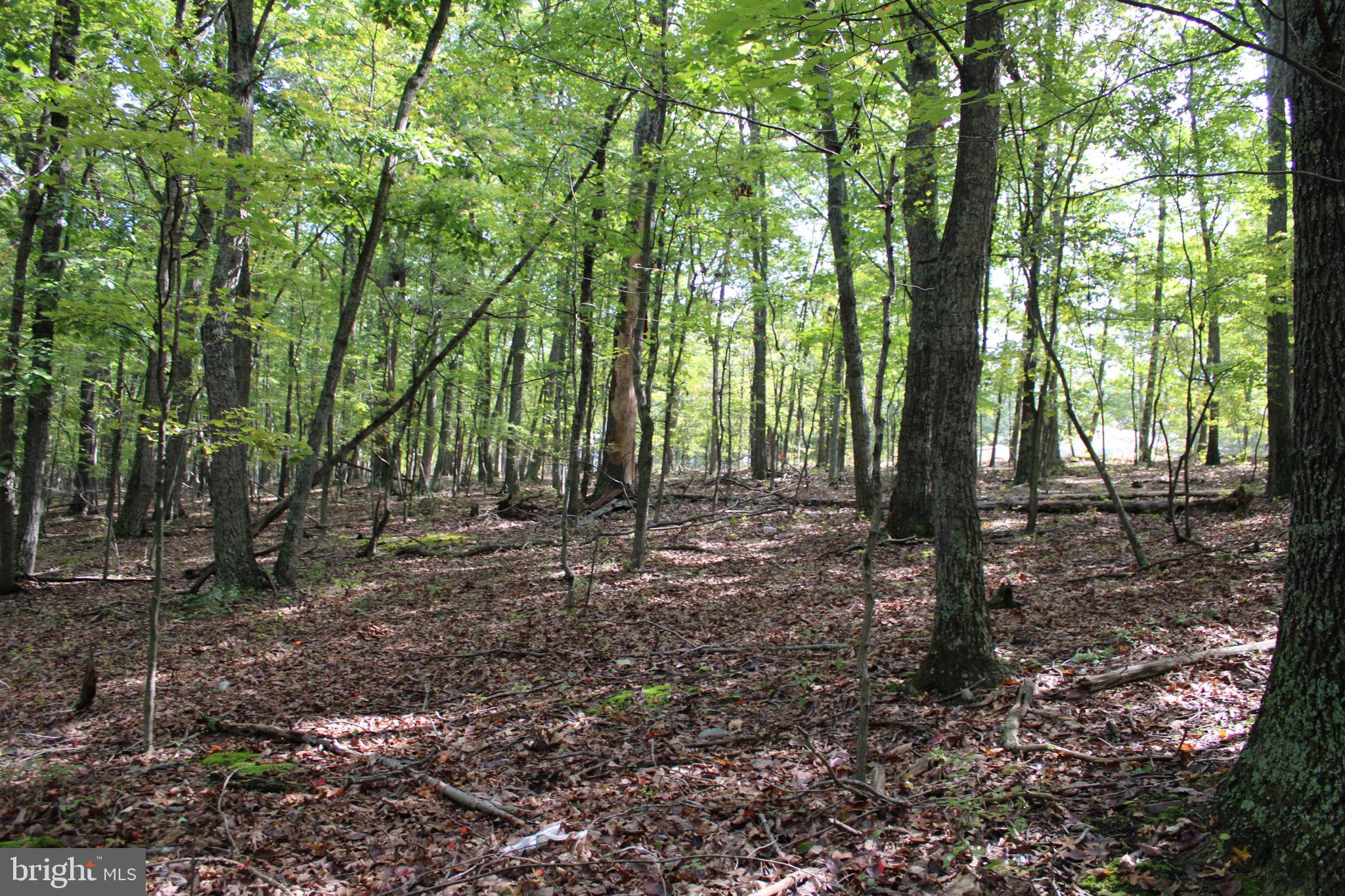 BLUFFS ON THE POTOMAC - Land